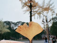 -四川大学(望江校区)