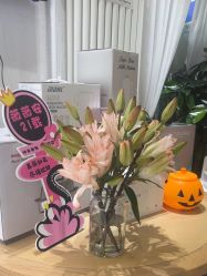 -薇薇安花系SPA