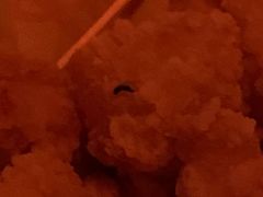 -Helens海伦司小酒馆(南京洪武路店)