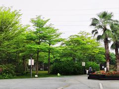 -福田红树林生态公园