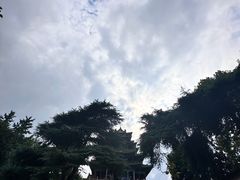 -阅江楼风景区