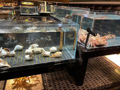 -璞御·海鲜·雪花牛肉局(宾水西道店)