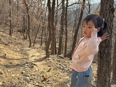 -大觉寺-停车场