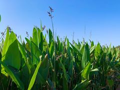 -东钱湖旅游度假区