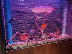 -海味世家·家常菜馆(明州里店)