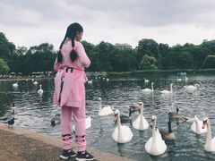 -海德公园