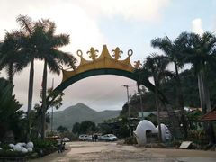-100蛋泥浆浴