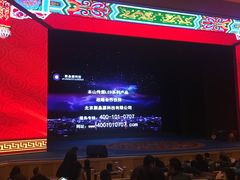 -刘老根大舞台-长春旗舰店