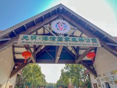 -上海海湾国家森林公园