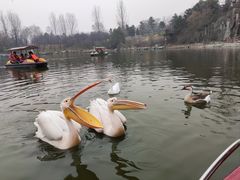 -西安秦岭野生动物园