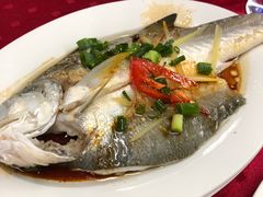 -蛇口康乐快餐鱼仔档(翠苑小区店)