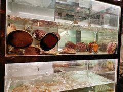 -甄御•海鲜新青岛菜(麦岛店)