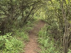 -舒家湾天主教堂
