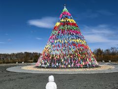 -塞罕坝国家级自然保护区