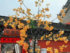 -潭柘寺景区