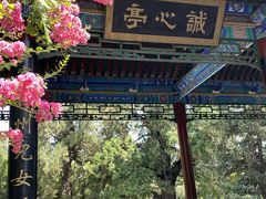 -黄帝陵