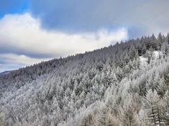 -灵山