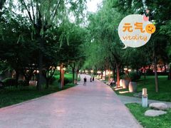 -唐城墙遗址公园