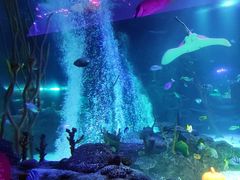 -沈阳海洋探索中心