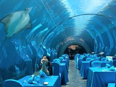 -海棠湾洲际-涛·海底餐厅·美人鱼·自助餐·海底隧道