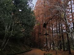 -灵栖洞天
