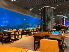 -涛·海底餐厅·美人鱼·自助餐·海底隧道(三亚海棠湾洲际度假酒店)
