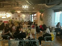 大堂-共舞时光猫咖·狗咖(新街口店)