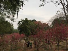 -八仙山公园