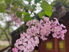 -潭柘寺景区