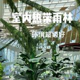 印力汇德隆奥体印象城 全新开业！小伙伴冲鸭