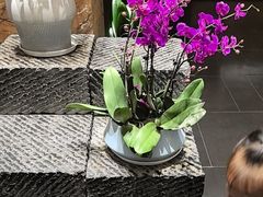 -黔蘑菇四季餐厅(观山湖店)