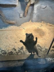 -Zoolung Zoolung动物主题公园(海信广场店)