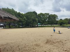 -上海佘山世茂艾美酒店
