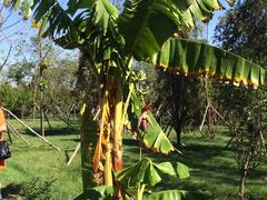 -武清南湖绿博园