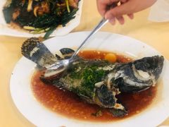 清蒸石斑鱼-双月饭店·20年老字号(新村店)