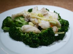 翡翠石斑球-沙田轩(古北店)