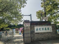 -嘉定紫藤园