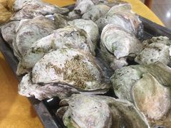 生蚝-蚝专家(北滘店)