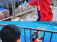 -泉城欧乐堡海洋极地世界