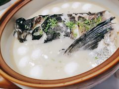 淳牌有机鱼-隆聚·时令海鲜(洪兴店)