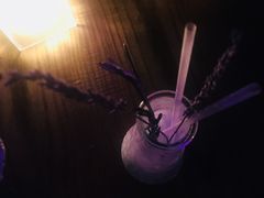 -TZ House音乐现场(茅台店)