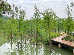 -昆山城市生态森林公园