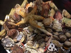 -船梆煮•蒸汽海鲜·炉火烤肉(五四广场店)