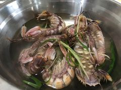 有膏濑尿虾-蚝专家(北滘店)
