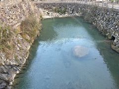 -MOJ coffee(瓯海泽雅水碓坑店)