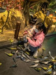 -酷嗒动物文化乐园(cutezoo西溪乐天城店)