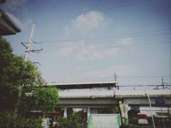 -上海佘山国家森林公园西佘山园