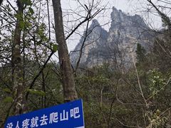 -鹿院坪生态旅游景区
