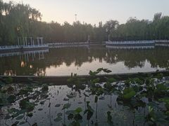 -丰台花园