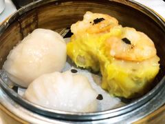 -糖朝(尖沙咀店)